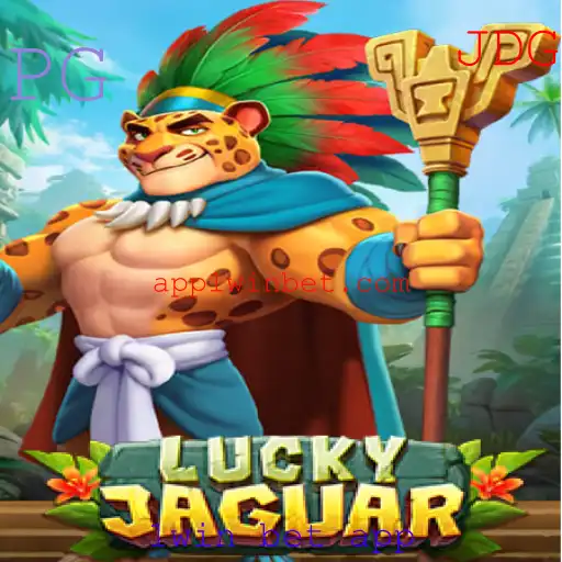 1win bet app Bingo online